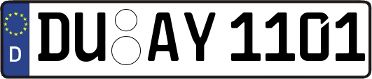 DU-AY1101