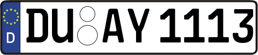 DU-AY1113
