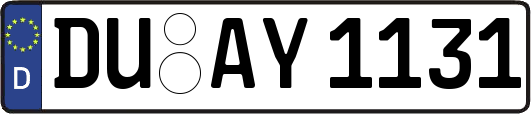 DU-AY1131