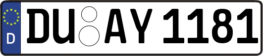 DU-AY1181