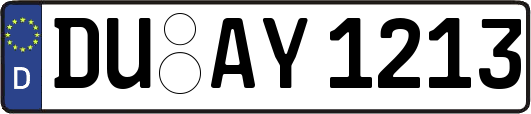 DU-AY1213