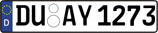 DU-AY1273