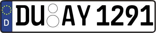 DU-AY1291