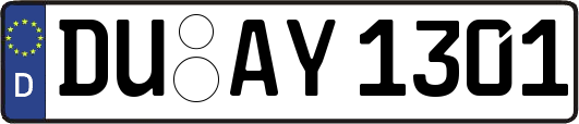 DU-AY1301