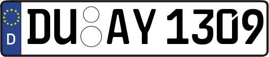 DU-AY1309