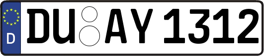 DU-AY1312