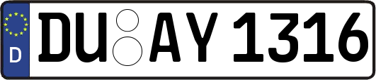 DU-AY1316