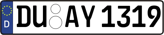 DU-AY1319