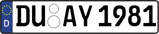 DU-AY1981