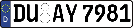 DU-AY7981