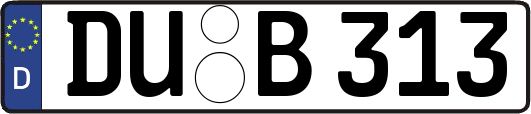 DU-B313