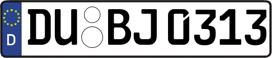 DU-BJ0313