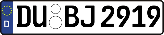 DU-BJ2919