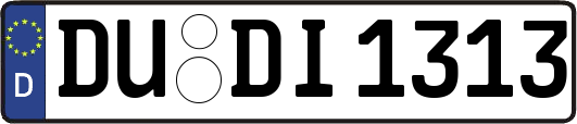 DU-DI1313