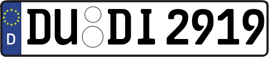 DU-DI2919