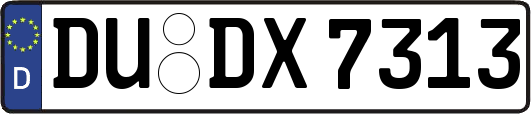 DU-DX7313