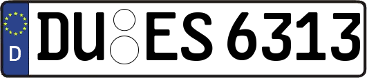 DU-ES6313