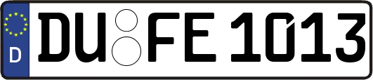 DU-FE1013