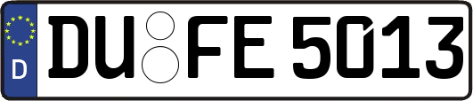 DU-FE5013