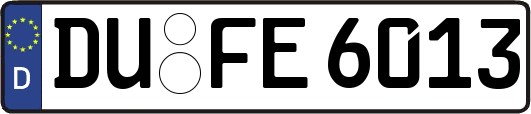 DU-FE6013