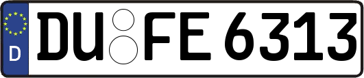 DU-FE6313