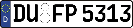 DU-FP5313