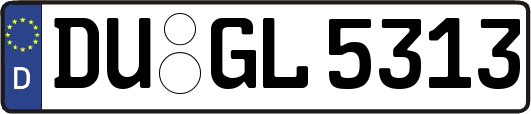 DU-GL5313