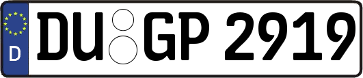 DU-GP2919