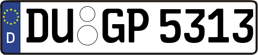 DU-GP5313