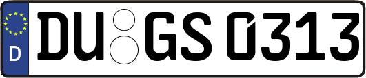 DU-GS0313