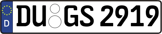 DU-GS2919