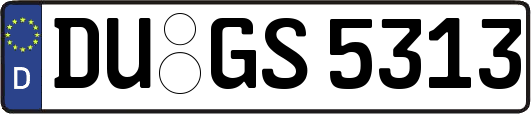 DU-GS5313