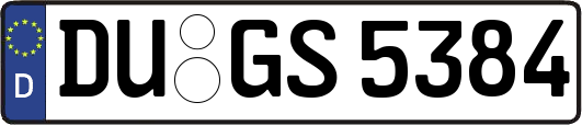 DU-GS5384