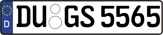 DU-GS5565