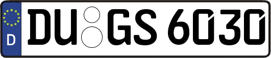 DU-GS6030