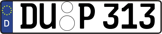 DU-P313