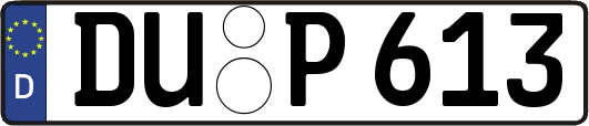 DU-P613