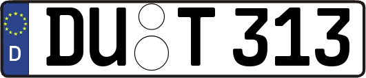 DU-T313