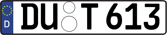 DU-T613