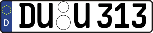 DU-U313
