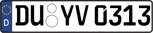 DU-YV0313