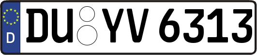 DU-YV6313