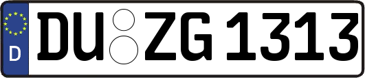 DU-ZG1313