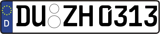 DU-ZH0313