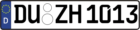 DU-ZH1013
