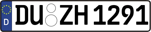 DU-ZH1291