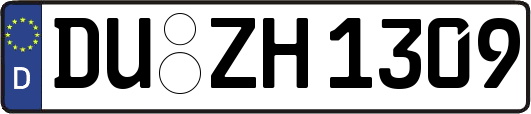 DU-ZH1309