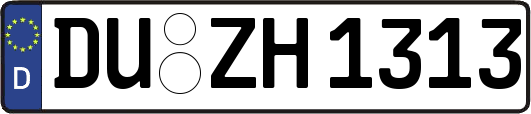 DU-ZH1313