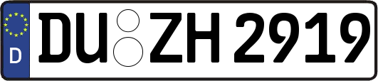 DU-ZH2919