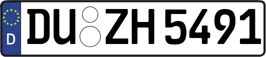 DU-ZH5491